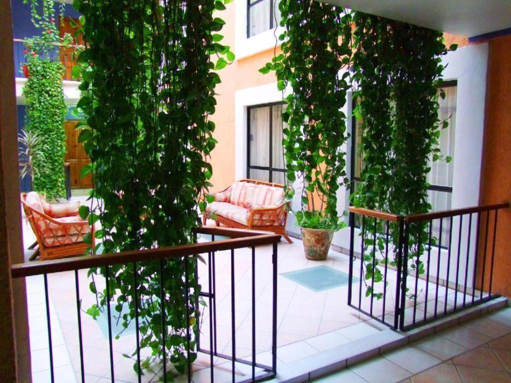 Hotel Oaxaca Dorado Buitenkant foto